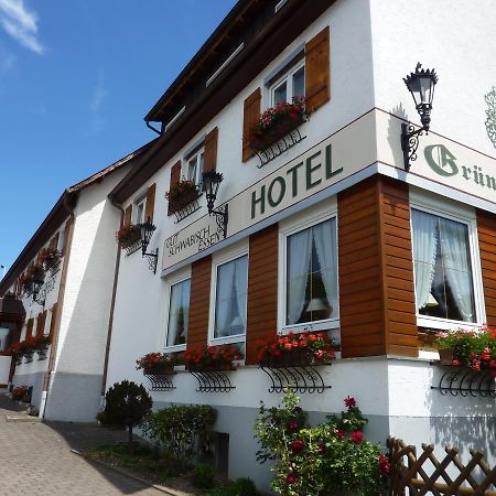 Hotel Landgasthof Gruener Baum Hochdorf  外观 照片