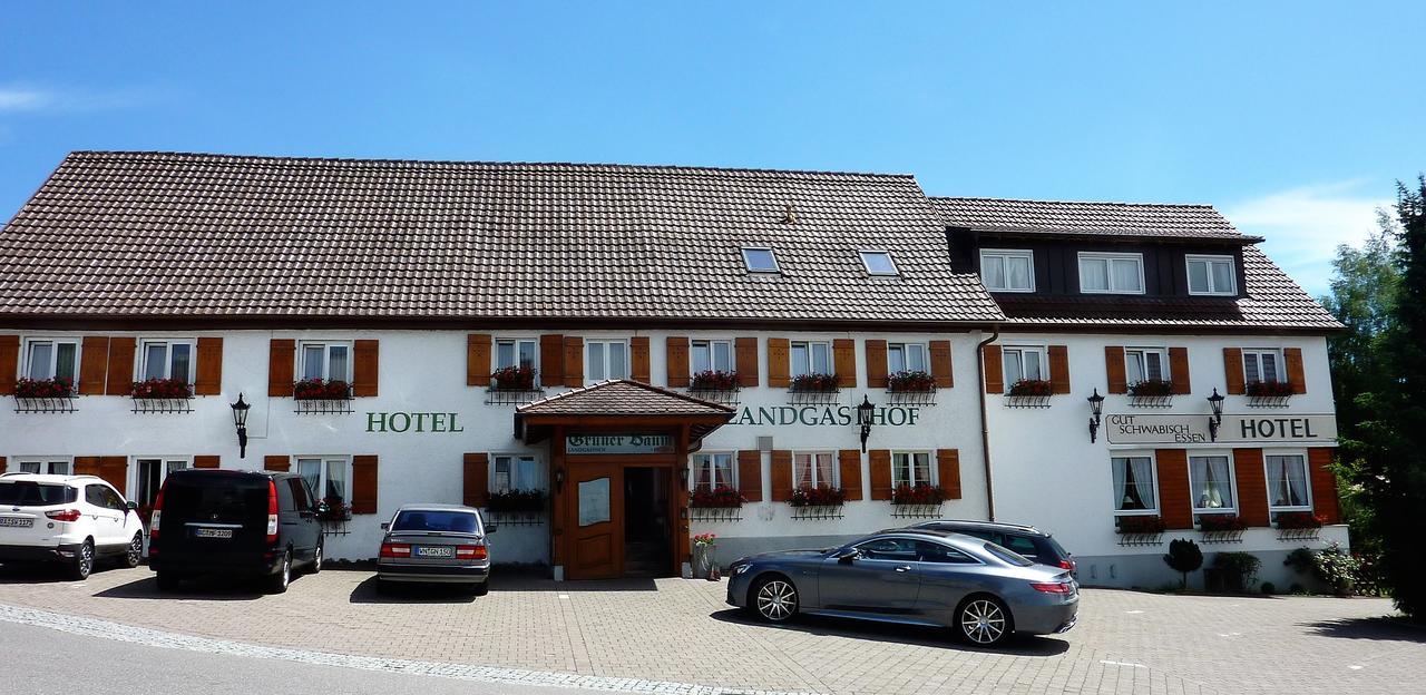 Hotel Landgasthof Gruener Baum Hochdorf  外观 照片