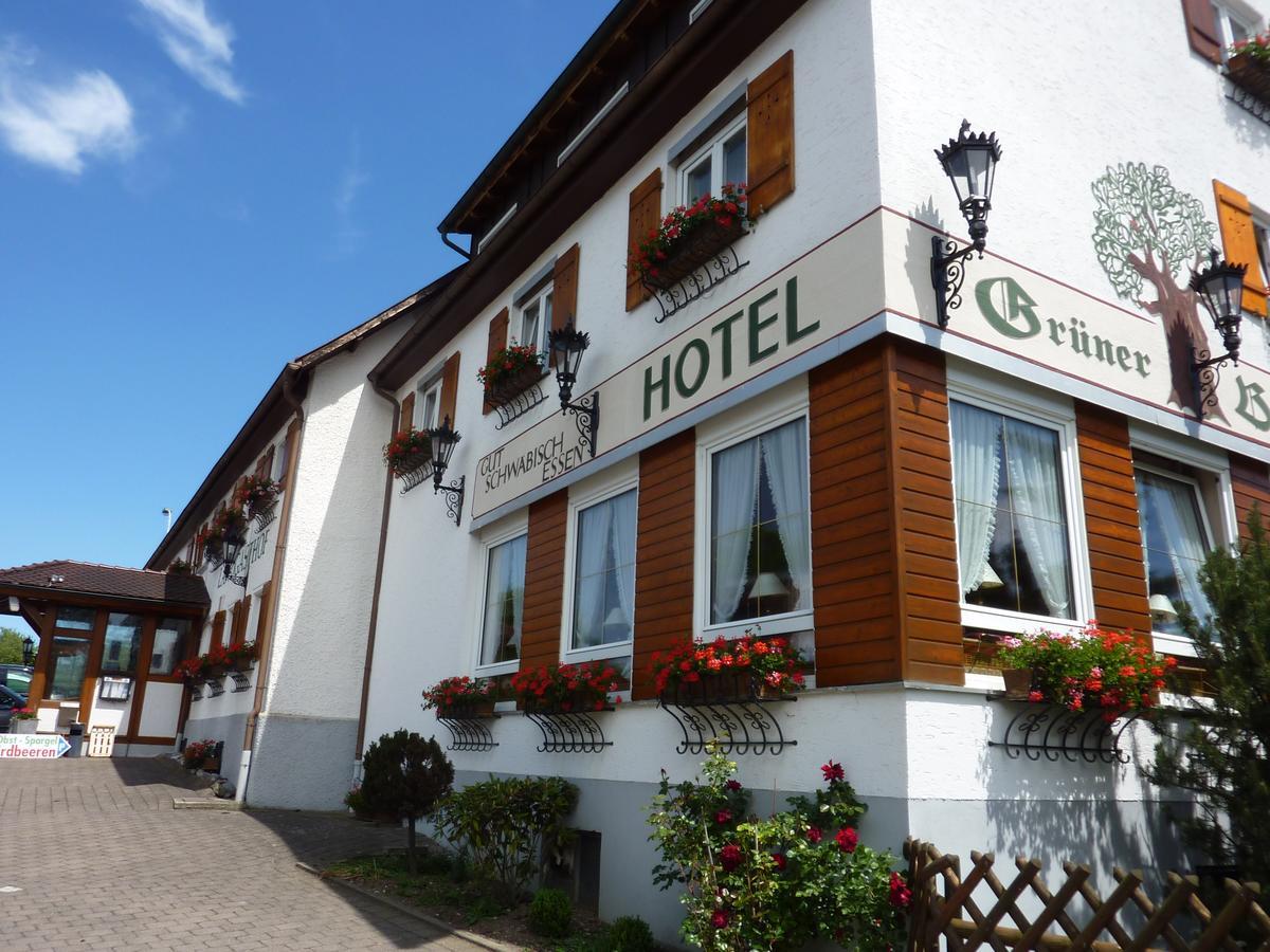 Hotel Landgasthof Gruener Baum Hochdorf  外观 照片